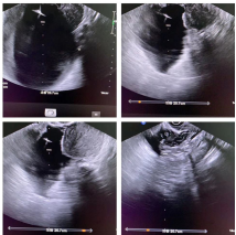 图片 3.png 图片 3.png