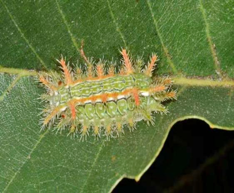 图片 4.png 图片 4.png