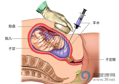 图片 1(2).png 图片 1(2).png