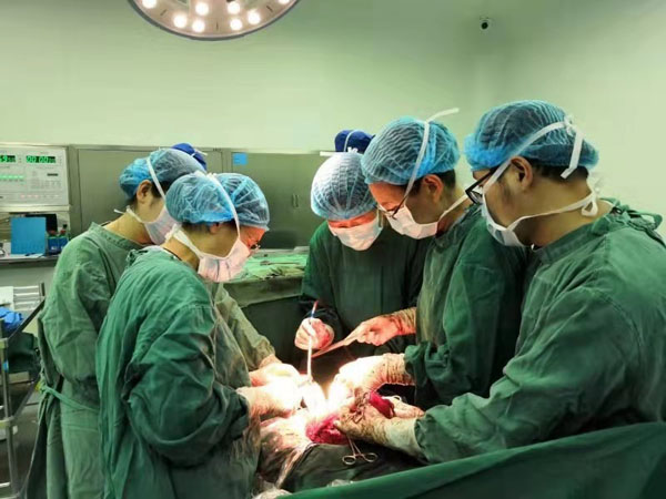 微信图片_20210712145933.jpg 微信图片_20210712145933.jpg