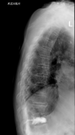 图片 3.png 图片 3.png