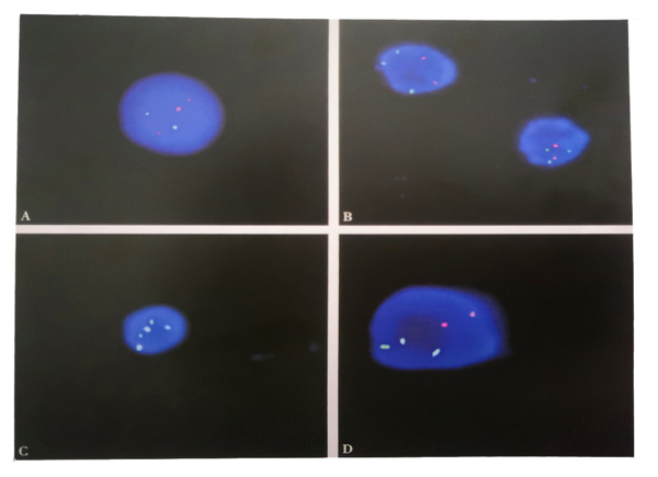 图片 1.png 图片 1.png