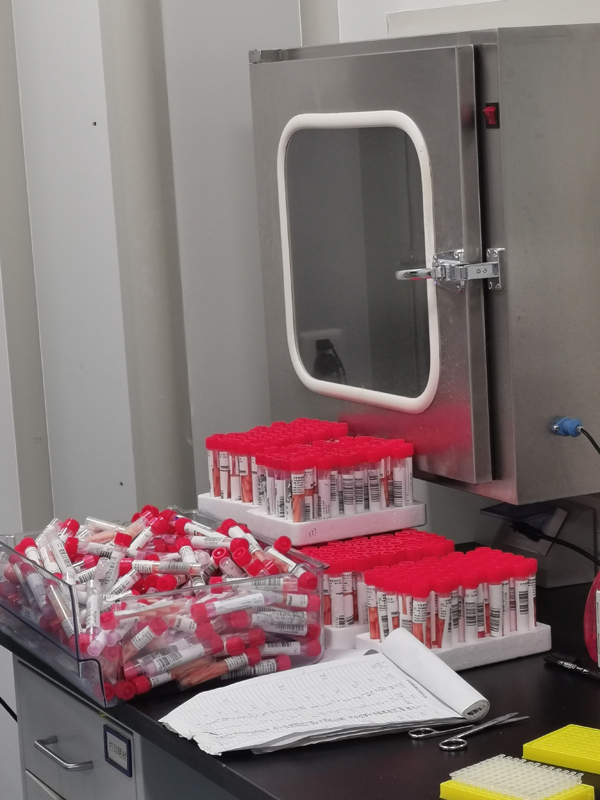 微信图片_202108090921571.jpg 微信图片_202108090921571.jpg