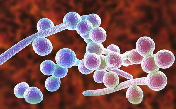 图片 1.png 图片 1.png