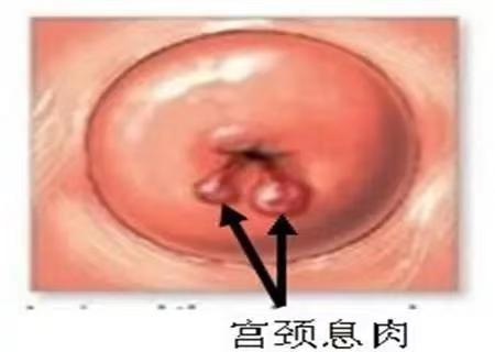 89c783f660f35cea4f9ccae8aad9228.jpg 89c783f660f35cea4f9ccae8aad9228.jpg