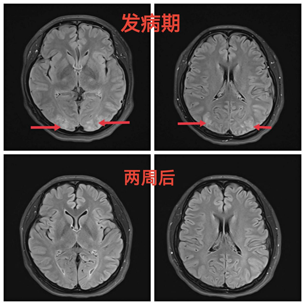 图片 2.png 图片 2.png