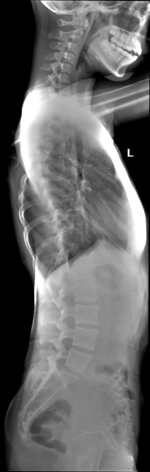 图片3.png 图片3.png