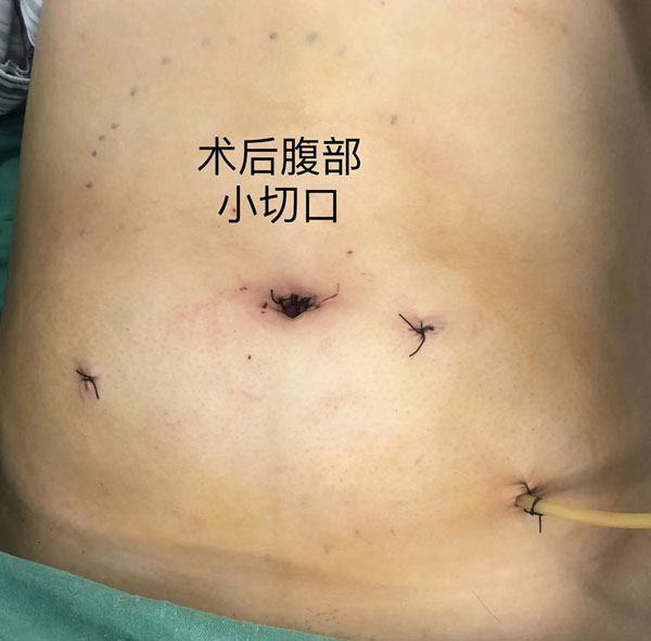 微信图片_202110171741563.jpg 微信图片_202110171741563.jpg