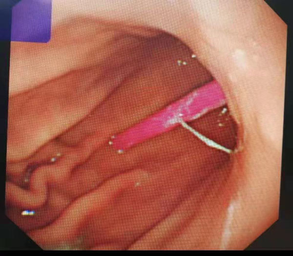 微信图片_202110211430493.jpg 微信图片_202110211430493.jpg