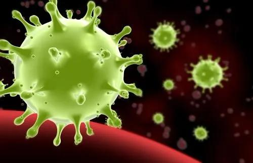 图片 5.png 图片 5.png