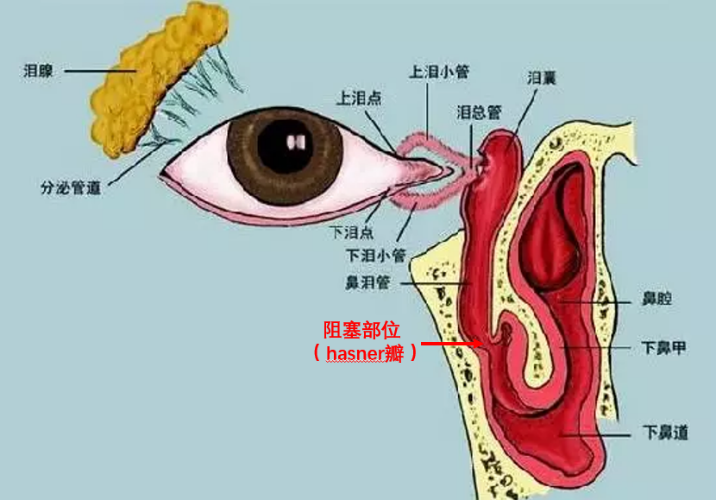 图片 1.png 图片 1.png