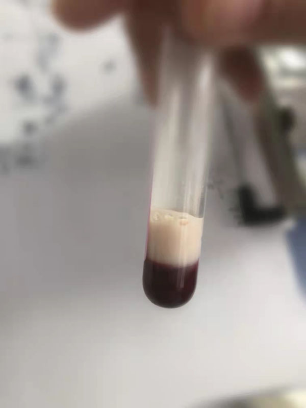 微信图片_20211105152015.jpg 微信图片_20211105152015.jpg