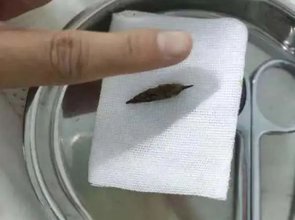 微信截图_20220704091918.png 微信截图_20220704091918.png