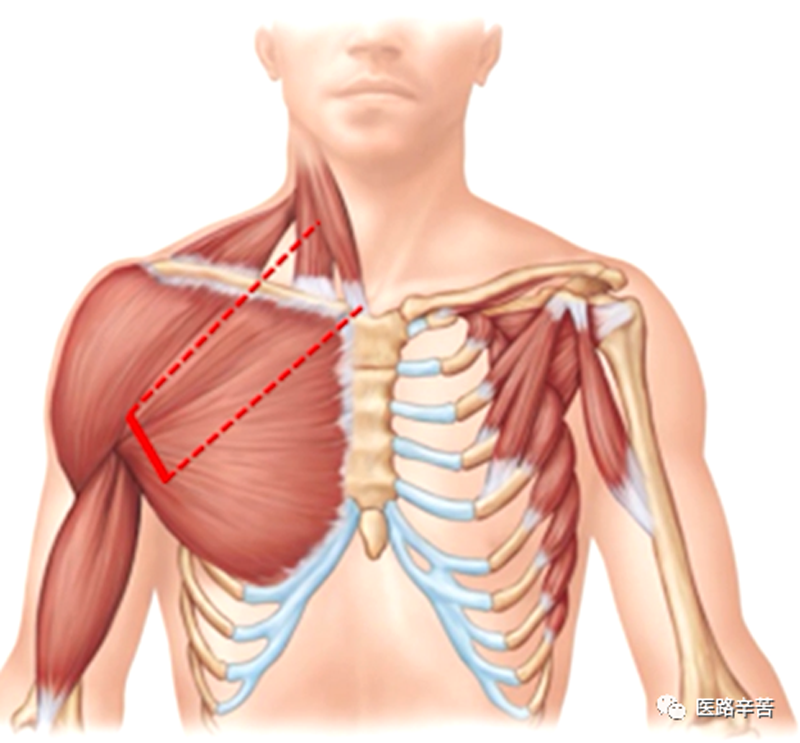 图片10.png 图片10.png