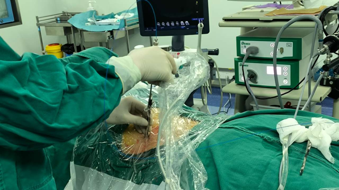 000000.png 000000.png