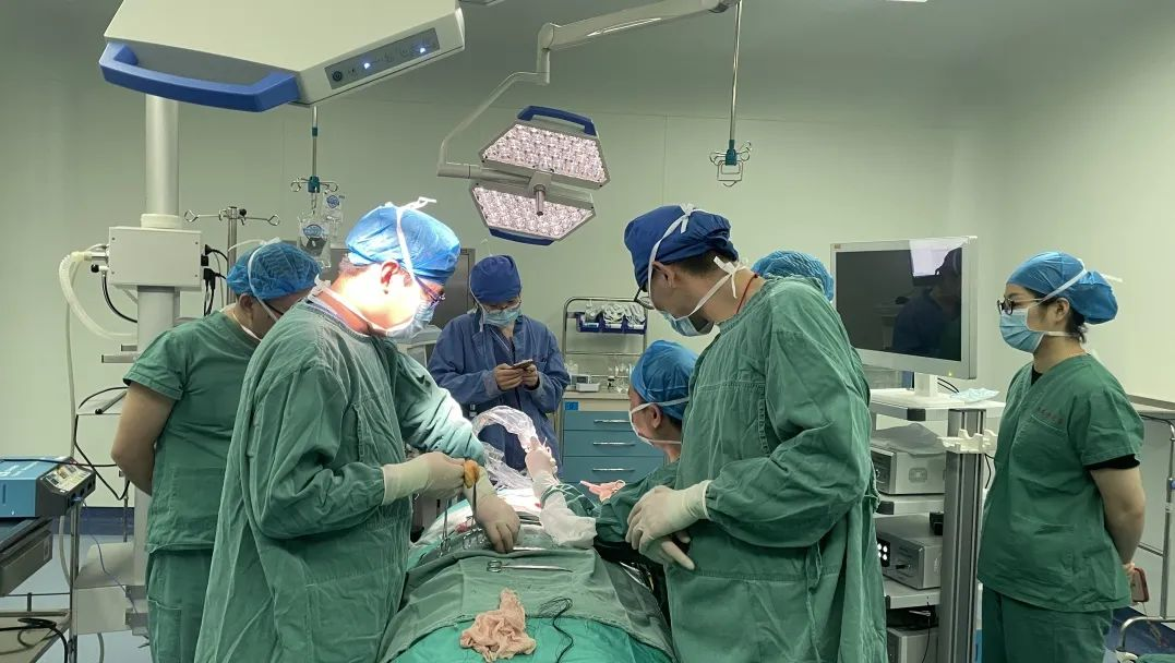 图片7.png 图片7.png