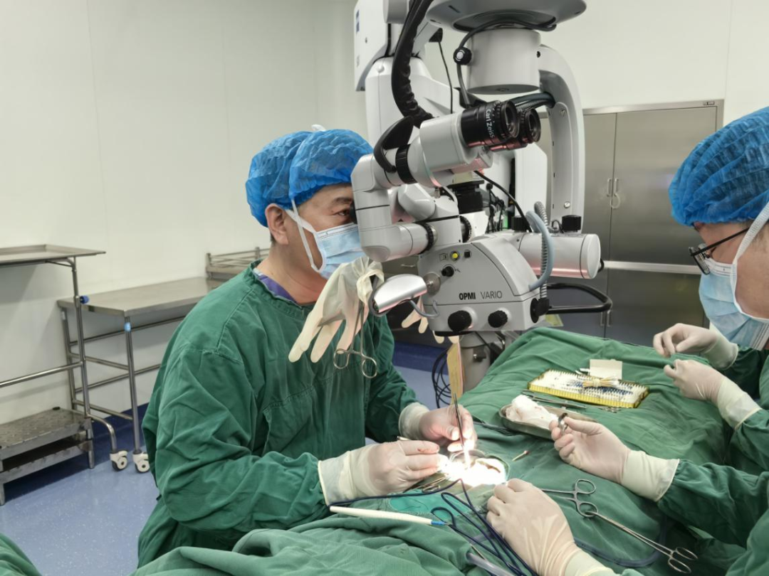 图片8.png 图片8.png