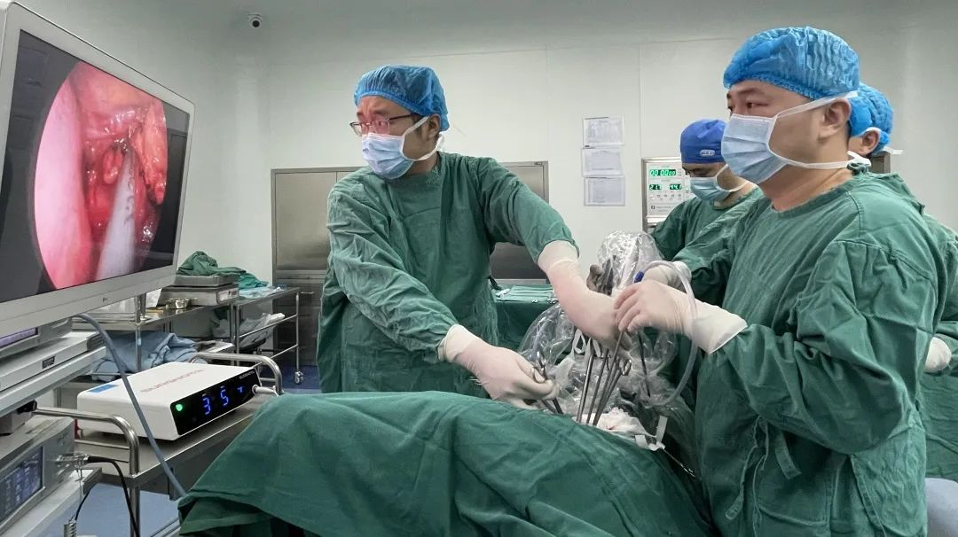 图片38.png 图片38.png